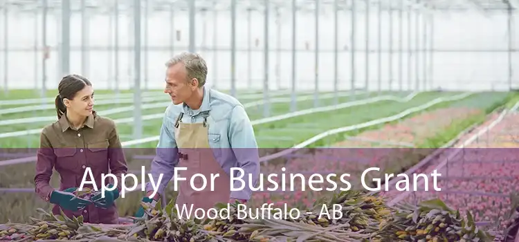 Apply For Business Grant Wood Buffalo - AB